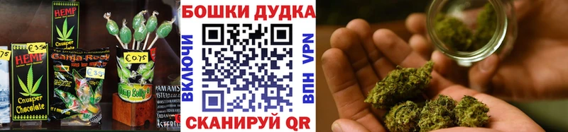 кракен зеркало  Новоузенск  Cannafood марихуана 