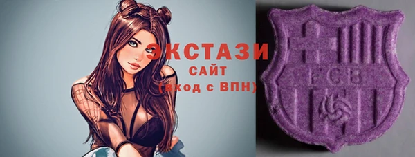 индика Балахна