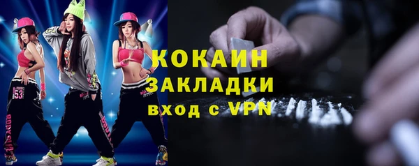 индика Балахна
