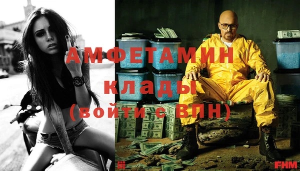 индика Балахна