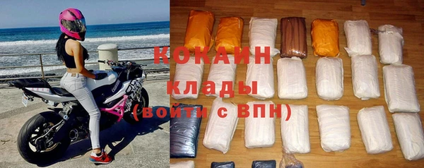 индика Балахна
