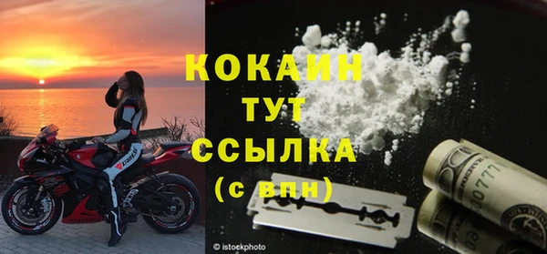 индика Балахна