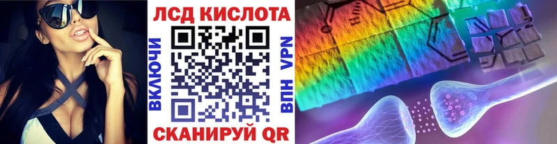 блэк спрут как войти  Новоузенск  Марки N-bome 1500мкг  закладки 